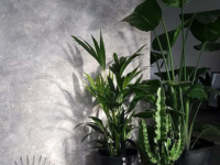 Expert Weather-Proof Tech