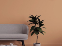 Simpex Sparsh Advance Matt