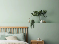 Premium Exterior Emulsion